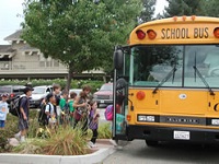 Before and After Care